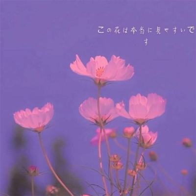 长生决bt版下载